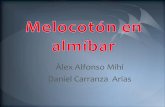 2C10.Àlex A., Dani C. Melocotón en almíbar