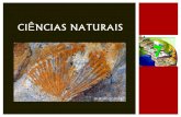 Ciências naturais 7   história da terra - o que dizem os fósseis - parte ii
