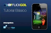 FLICKGOL Tutorial Básico (Português)