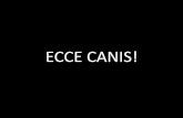 Ecce Canis!