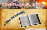 48   Estudo Panorâmico da Bíblia (II Samuel)