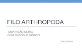 Filo arthropoda (Uma visão geral, com enfoque médico)