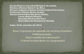 O processo de expansão do território brasileiro.