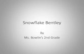 Bowlin Snowflake Bentley