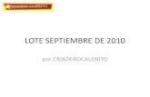 LOTE SEPTIEMBRE DE 2010 GALLOS Y GALLINAS BUENA SELECCION EXCLUSIVA - PRUEBE Y COMPRUEBE