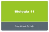 Biologia 11   preparação para exame 1
