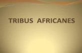 Tribus  africanes
