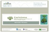 Relatório Cariniana - outubro 2014