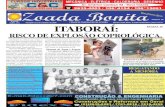Jornal Zoada bonita abril 2011