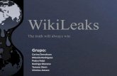 Wikileaks e as correntes do Direito