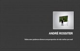 Por que escolher os cursos online do Professor André Rossiter