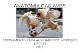 Noções de anatomia  das aves i semestre 2014