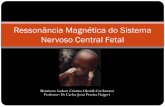 Ressonância magnética do sistema nervoso central fetal pdf