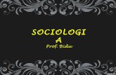 Sociologia Master - 01