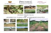 GUIA PRÁTICO de AGRICULTURA DE CONSERVAÇÃO manual ueber_konservierende_landwirtschaft-_praktischer_fuehrer