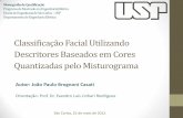 Classificação Facial Utilizando Descritores Baseados em Cores Quantizadas pelo Misturograma