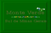 Monte Verde - MG Brasil