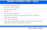 03. brasil aula sobre brasil coônia parte 3