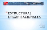 Estructura organizacional   grupo 02