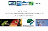 O efeito da soja nos ecossistemas e o papel do ZEE – Paulino Medina Jr.