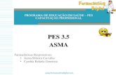 PES 3.5 Asma