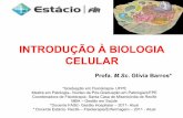 1ª aula biologia celular