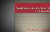 Anatomia y fisiologia de la laringe