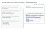 Introduçao micologia