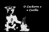 O Cachorro e o Coelho (Uma lição à vida)