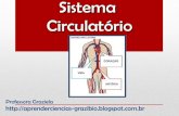 Sistema Circulatório/ Cardiovascular
