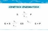06 cinética enzimática