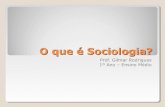 O que é Sociologia?