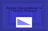 Problemas e Aplicações das Razões Trigonométricas