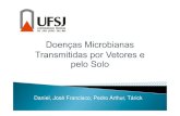 Seminario micro geral_doencas_vetores_solo