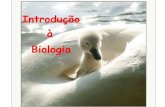 Introdução a biologia
