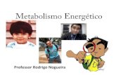 Metabolismo Energ©tico