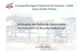 Seminário stab 2013   industrial - 06. utilização da palha de cana como incremento na receita industrial - lourivaldo leal (usina santa teresa)