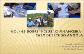 Noções de Inclusão financeira de forma profissional - Cláudio da Silva, 11/10/2013