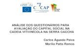 Análise dos questionários na cadeia do vinho - Carlos Aguedo Paiva  & Marilia Ramos