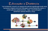 Educação a Distância - por Laura Palis e Juliana Figueiredo