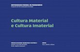 Cultura Material e Cultura Imaterial
