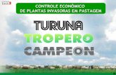 Produtos Para Pastagem   Turuna,  Tropero  E  Campeon
