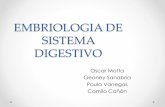 Embriologia de sistema digestivo