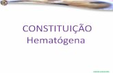 Clodoaldo Pacheco - Constituição hematógena