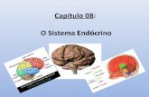 Capítulo 08 - sistema endócrino