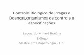 Controle biológico de pragas e doenças, organismos de controle e especificações