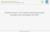 Projeto Liowsn - Um sistema operacional para trabalhos com RSSF
