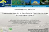 Phylogenetic Diversity in Rock Outcrop Plant Communities in Southeastern Brazil