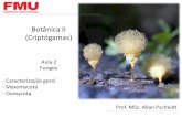 Botânica aula2 fungos