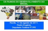 Painel 4 - Os rumos do desenvolvimento econômico do Brasil